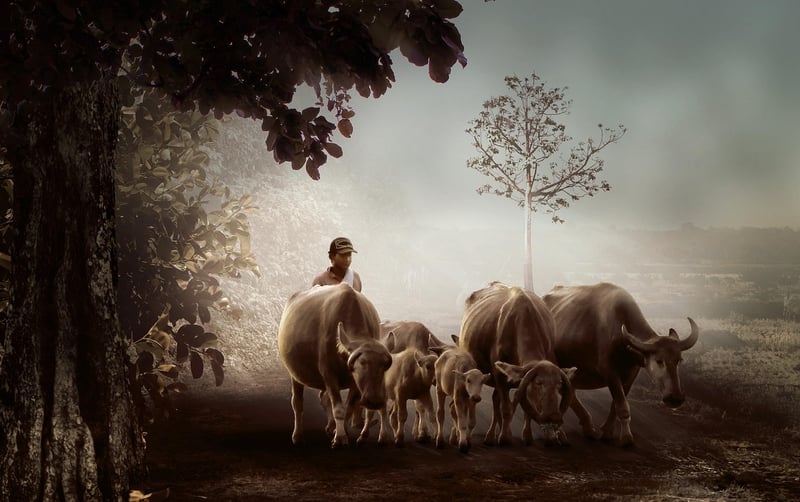 Sustainable Agriculture